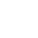 Palm-Trading-White-300x300