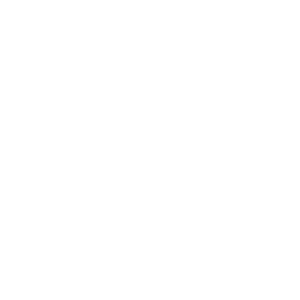 Palm-Trading-White-300x300
